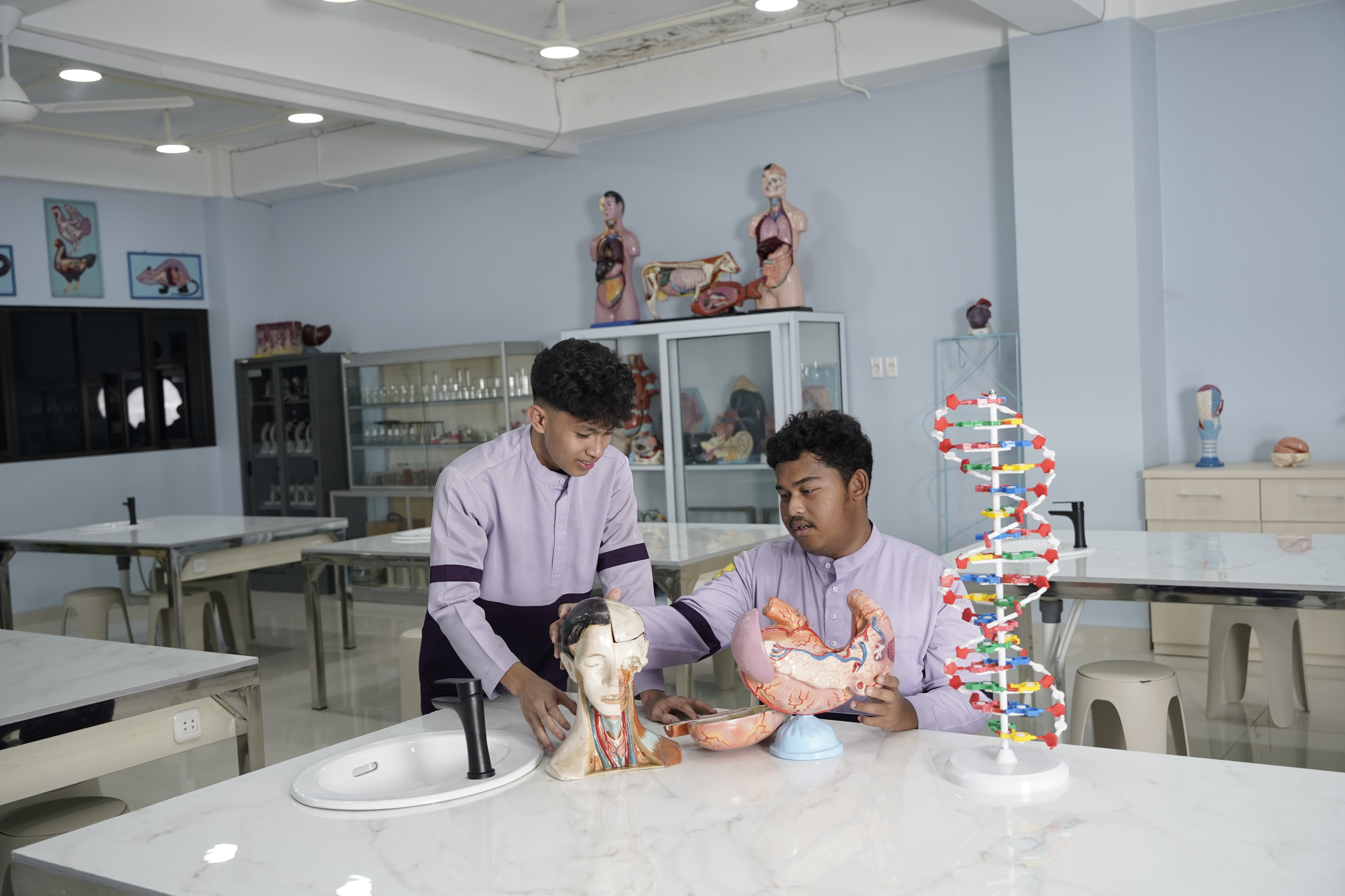Lab
